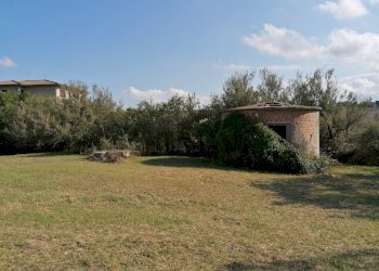 Foto 4 - Rustico Terre Roveresche
 
SNC, Terre Roveresche - foto 4