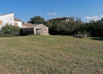 Foto 5 - Rustico Terre Roveresche
 
SNC, Terre Roveresche - foto 5