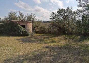 Foto 6 - Rustico Terre Roveresche
 
SNC, Terre Roveresche - foto 6