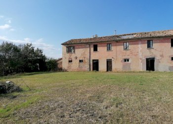 Foto 8 - Rustico Terre Roveresche
 
SNC, Terre Roveresche - foto 8