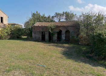 Foto 10 - Rustico Terre Roveresche
 
SNC, Terre Roveresche - foto 10