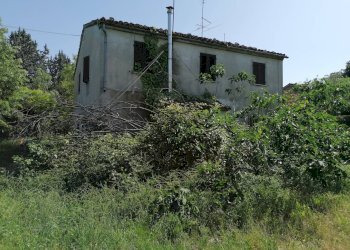 Foto 6 - Rustico Fossombrone, Fossombrone - foto 6