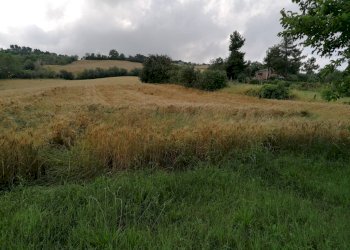 Foto 6 - Rustico Villanova - Colli al Metauro, Colli al Metauro - foto 6