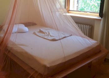 Foto 13 - Villa Serrungarina, Colli al Metauro - foto 13