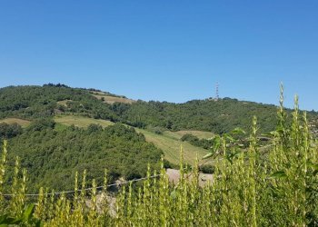 Foto 31 - Villa Serrungarina, Colli al Metauro - foto 31