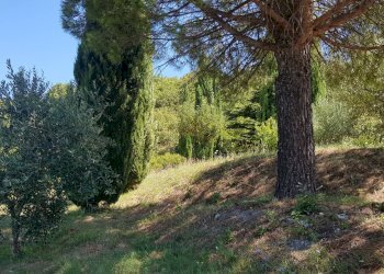 Foto 33 - Villa Serrungarina, Colli al Metauro - foto 33