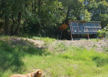 Foto 34 - Villa Serrungarina, Colli al Metauro - foto 34