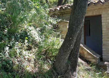 Foto 35 - Villa Serrungarina, Colli al Metauro - foto 35