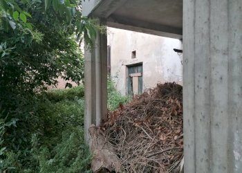 Foto 5 - Casa semi indipendente Mondolfo, Mondolfo - foto 5