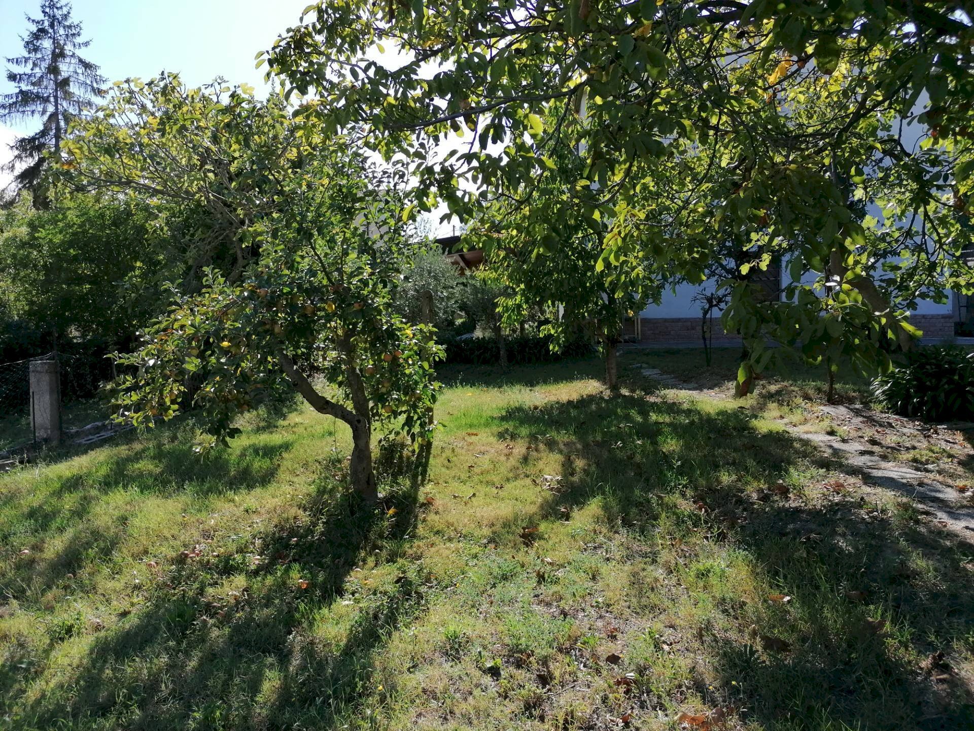 Foto 1 - Building land Cuccurano, Fano - photo 1