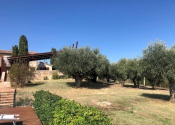 Foto 45 - Villa San Costanzo - foto 45