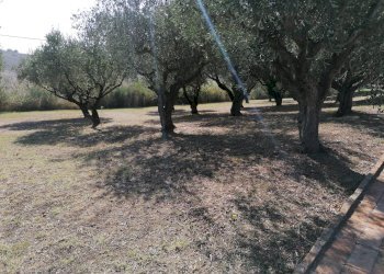Foto 47 - Villa San Costanzo - foto 47