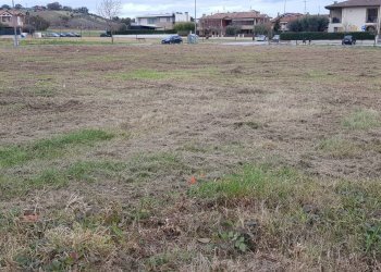 Foto 2 - Terreno edificabile Calcinelli, Colli al Metauro - foto 2