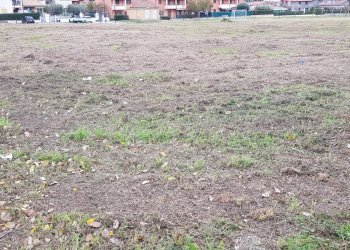 Foto 4 - Terreno edificabile Calcinelli, Colli al Metauro - foto 4