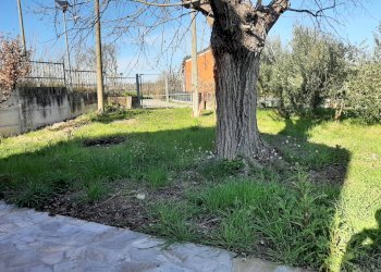 Foto 22 - Casa semi indipendente Via S. Anna, Cartoceto - foto 22