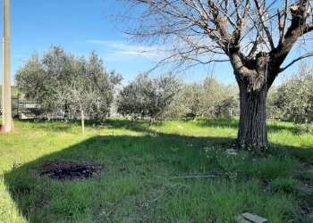 Foto 23 - Casa semi indipendente Via S. Anna, Cartoceto - foto 23