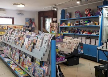 Foto 2 - Attività Commerciale Calcinelli, Colli al Metauro - foto 2