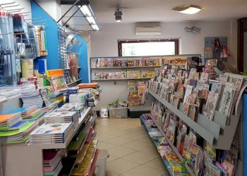 Foto 3 - Attività Commerciale Calcinelli, Colli al Metauro - foto 3