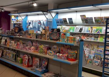 Foto 5 - Attività Commerciale Calcinelli, Colli al Metauro - foto 5