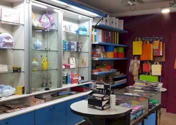 Foto 7 - Attività Commerciale Calcinelli, Colli al Metauro - foto 7