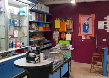 Foto 8 - Attività Commerciale Calcinelli, Colli al Metauro - foto 8