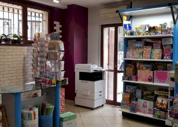 Foto 9 - Attività Commerciale Calcinelli, Colli al Metauro - foto 9