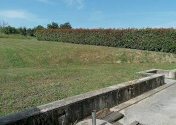 Foto 14 - Villa Lucrezia di Cartoceto, Cartoceto - foto 14