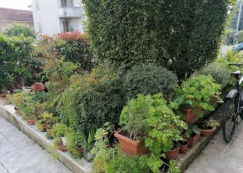 Foto 17 - Appartamento Fano, Fano - foto 17