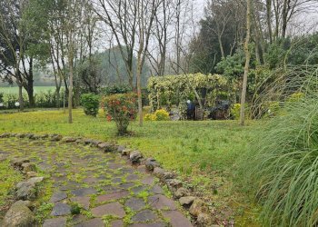 Foto 2 - Casa indipendente Lucrezia di Cartoceto, Cartoceto - foto 2