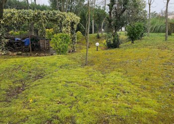 Foto 36 - Casa indipendente Lucrezia di Cartoceto, Cartoceto - foto 36