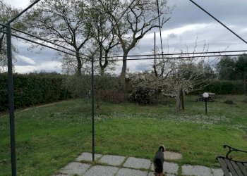 Foto 41 - Rustico S. Anna, Cartoceto - foto 41