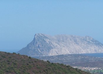 Foto 2 - Terreno agricolo Località terrapadedda
 
snc, San Teodoro - foto 2