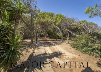 Foto 20 - Attività Commerciale Cuglieri - foto 20