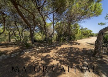 Foto 28 - Attività Commerciale Cuglieri - foto 28