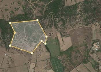 Foto 1 - Terreno agricolo loc. Predu Pascale, Posada - foto 1