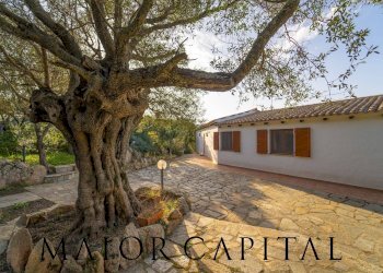 Foto 31 - Villa la mendula, Arzachena - foto 31