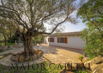 Foto 32 - Villa la mendula, Arzachena - foto 32