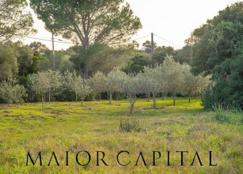 Foto 36 - Villa la mendula, Arzachena - foto 36