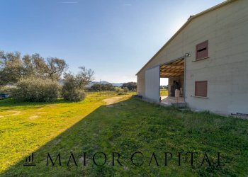 Foto 10 - Azienda agricola Località San Michele, Berchidda - foto 10