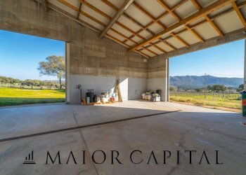 Foto 11 - Azienda agricola Località San Michele, Berchidda - foto 11