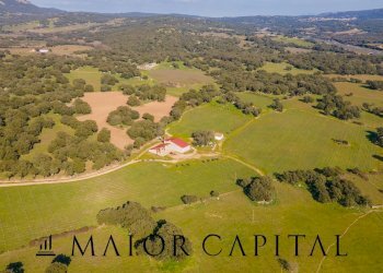 Foto 29 - Azienda agricola Località San Michele, Berchidda - foto 29