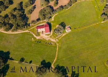 Foto 31 - Azienda agricola Località San Michele, Berchidda - foto 31