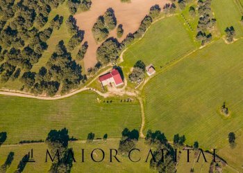 Foto 32 - Azienda agricola Località San Michele, Berchidda - foto 32