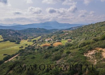 Foto 17 - Terreno agricolo località Santa Teresa, Arzachena - foto 17