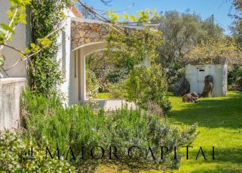 Foto 44 - Villa Località La Punga, Arzachena - foto 44