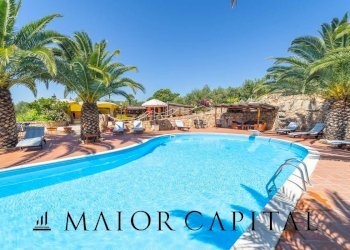 Foto 4 - Attività Commerciale Via Campu, Telti - foto 4