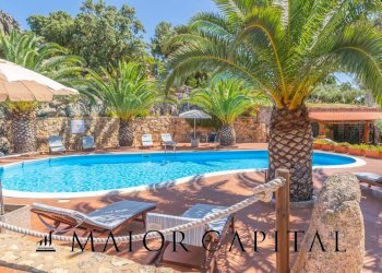 Foto 9 - Attività Commerciale Via Campu, Telti - foto 9