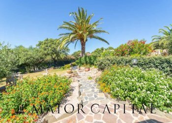 Foto 15 - Attività Commerciale Via Campu, Telti - foto 15