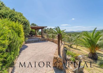 Foto 16 - Attività Commerciale Via Campu, Telti - foto 16