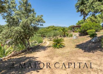 Foto 18 - Attività Commerciale Via Campu, Telti - foto 18